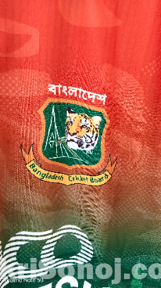 বাংলাদেশ ক্রিকেট টিমের